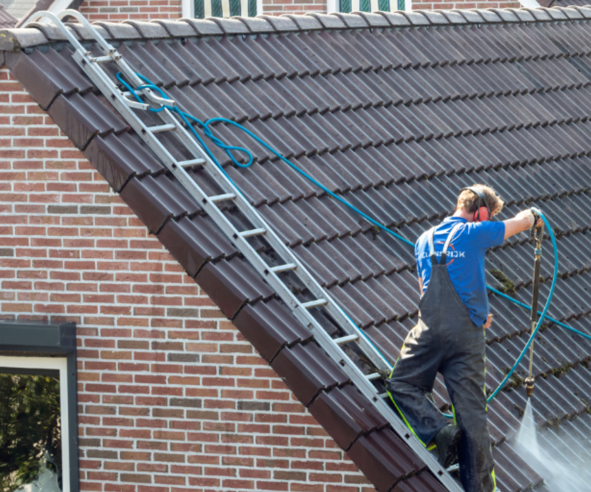 Dakreiniging_met_dakladder
